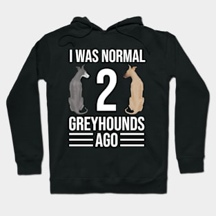 I Was Normal 2 Greyhounds Ago | I Was Normal Two Greyhounds Ago Hoodie